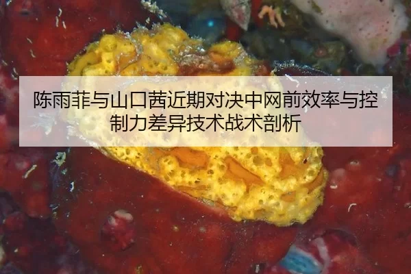chen-yu-fei-yu-shan-kou-qian-jin-qi-dui-jue-zhong-wang-qian-xiao-lv-yu-kong-zhi-li-cha-yi-ji-shu-zhan-shu-pou-xi-2-595.jpg